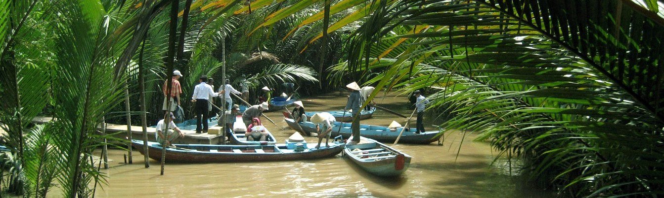 Palm creeks in a narrow canals in Mekong Delta Vietnam