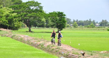 ideal bicycle place in Vietnam with countryside view
