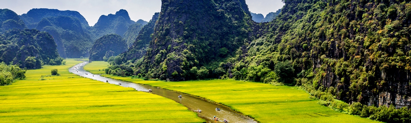 Tam Coc - Bich Dong is very amazing in the ripen rice season