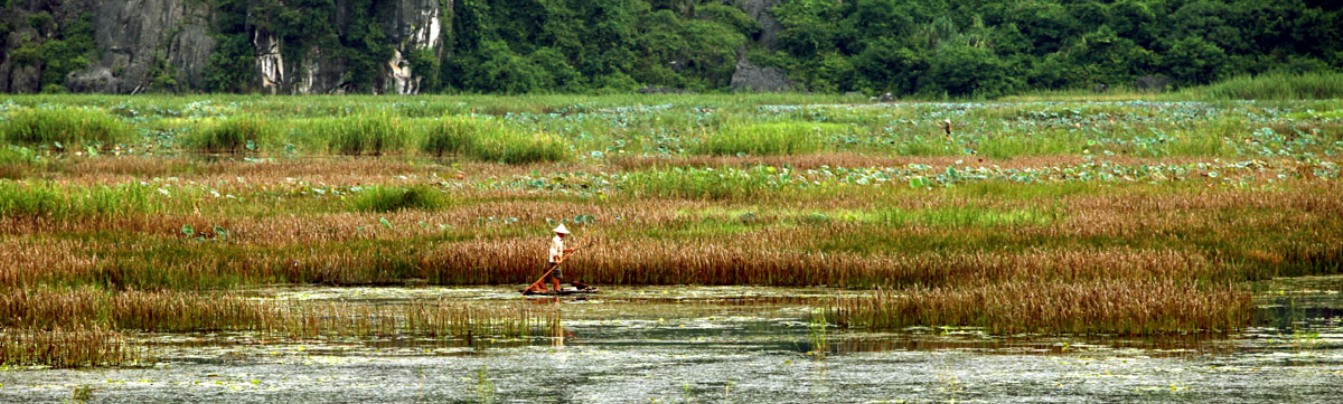 Van Long Lagoon in Ninh Binh