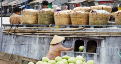 Cai Rang floating market, that you can find variety of cultivating products to buy