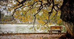 The autumn brings a charming picture to Hoan Kiem Lake