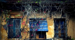 Ancient houses are reserved - a must see thing in Hanoi