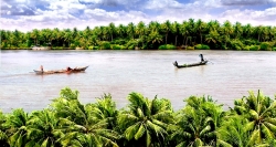 Ben Tre is very interesting by a great numbers of palm trees