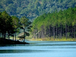 Tuyen Lam lake is mysterious and romantic all year round