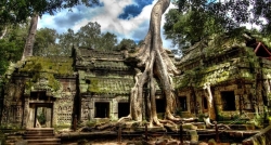 Ta Prohn looks like a falling into oblivion projects in Angkor Complex