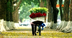 Hanoi flower vendors who make streets colorful and impressing