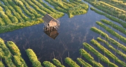 Step by step, you will see the panorama of the farms in Inle