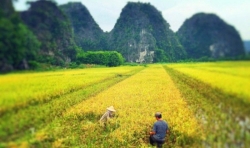 Authentic life in Ninh Binh for your Kong Skull Island Tour