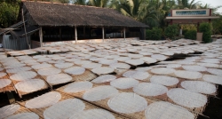 Rice paper making in the Mekong Delta