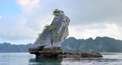 Toad Islet is an interesting attraction on Halong Bay