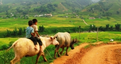 The cart track to Su Pan in your Sapa Vietnam Homestay tou