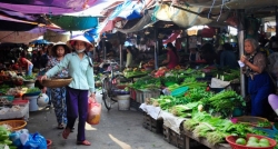 Explore the local market in the best cooking class Hoi An