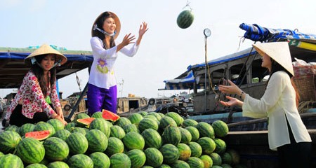 Experience the lively trading beat in Cai Rang floating market