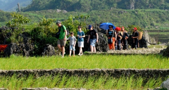 Foreigners are wandering in the rice-terraces in Ethnic village in Sapa