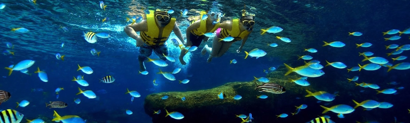 Snorkeling in Nha Trang Aquarium Institue