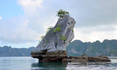 There are a number of Islets with different forms on Halong Bay