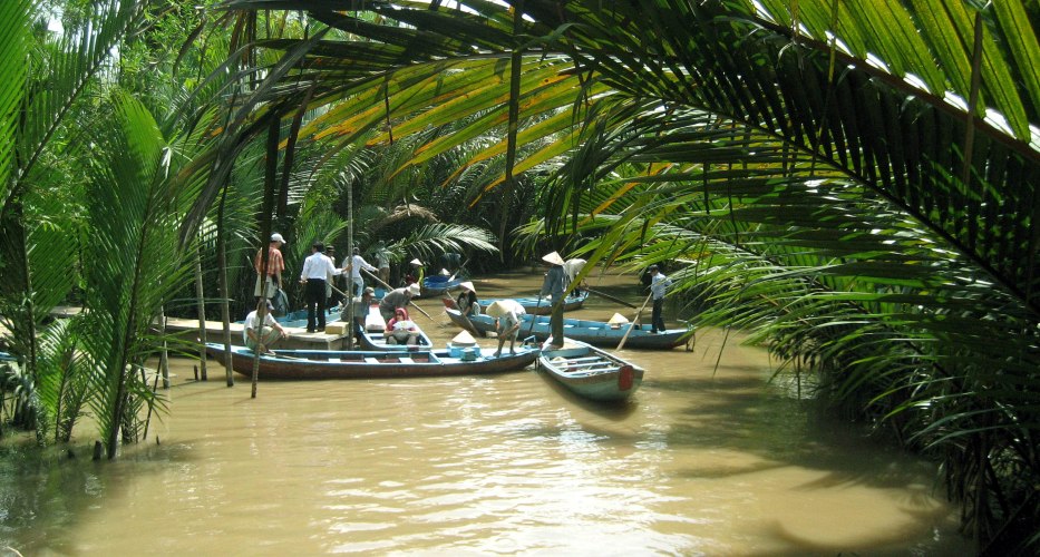 Palm creeks in Vietnam Mekong Delta