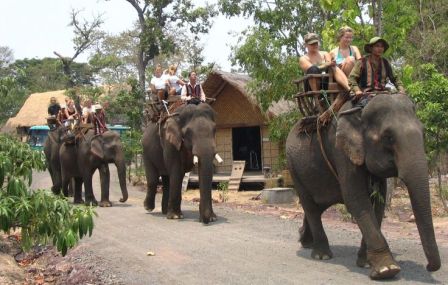 Take an hour for riding the friendly elephants in Don village
