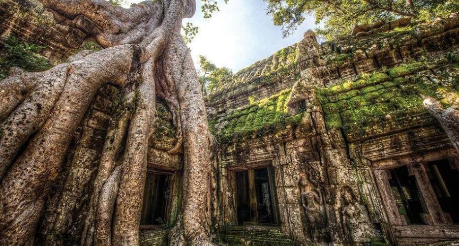 Ta Prohm is known as a Mahayana Buddhist monastery and university in the past
