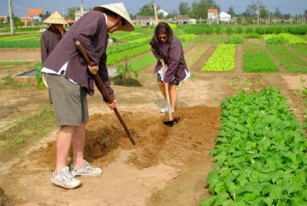 You have a chance to do as a farmer in the central Vietnam tours.