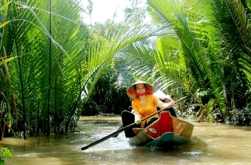 Palm creeks is a specific of Mekong Delta