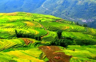 Let's admire the imposing rice-terraces that spread out all of hill-tribe villages.