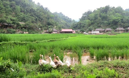 Visit around the village to see the most authentic life of Thai minority