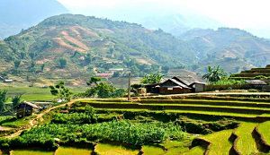 Rice terraces in Ta Phin village