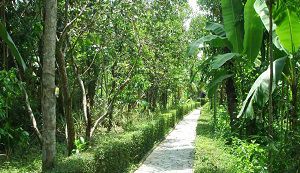 Biking around Thuy Bieu vegetable village