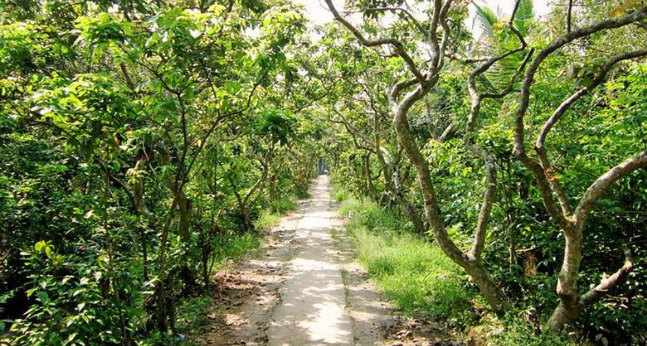 Orchard garden in the Islands of Vietnam Mekong River
