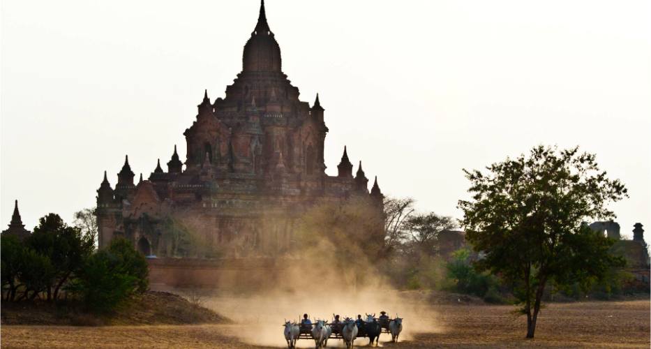 Ox-cart is an interesting vehicle in Bagan, Myanmar