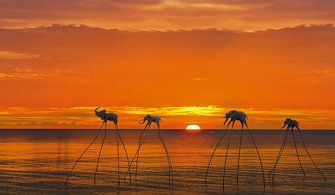 Essential Vietnam and Phu Quoc Island 14 days Package