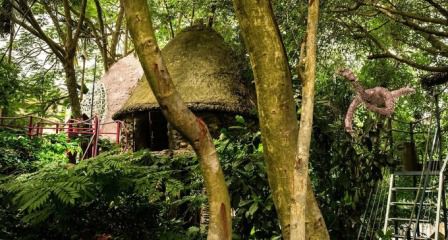 Hanoi Tree House among the luxuriant and artistic space.