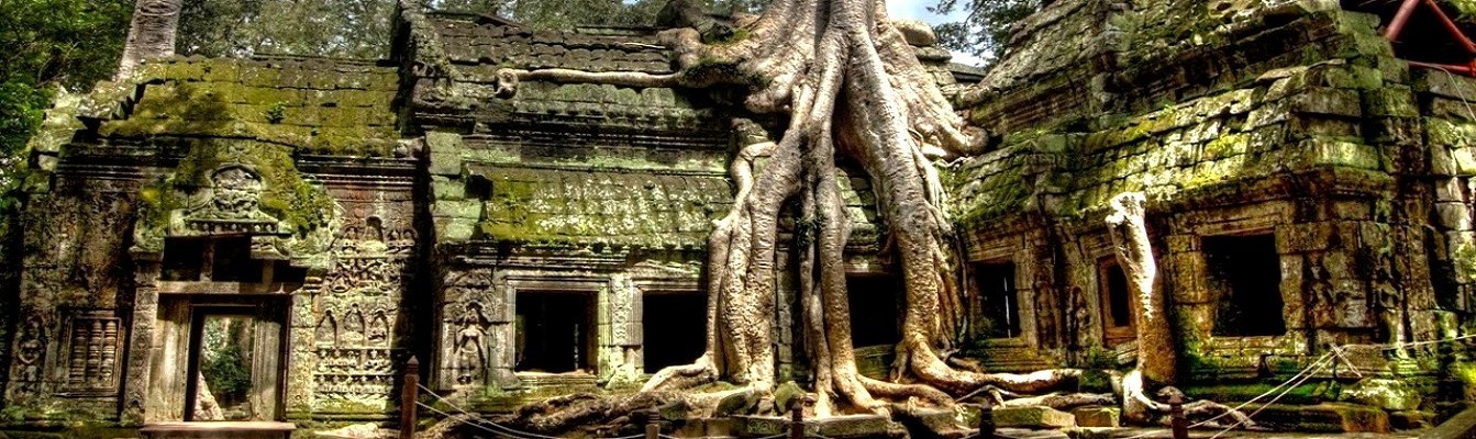 Discover Ta Prohm in Angkor Complex in Cambodia Vietnam Tour