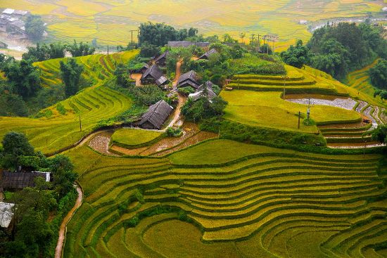 Coming-to-Sapa-for-peaceful-and-beautiful-rice-fields-and-unique-traditional-customs