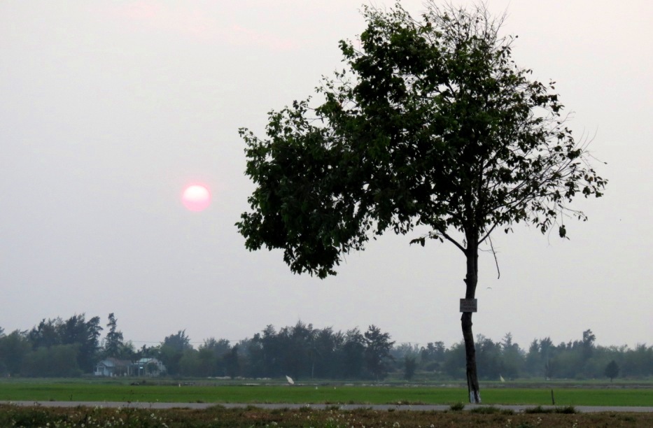 An Bang is about 2,5 kilometers from Hoian's ancient town with rural scenes on the way