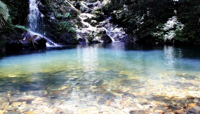 Cool spring in Bach Ma forest