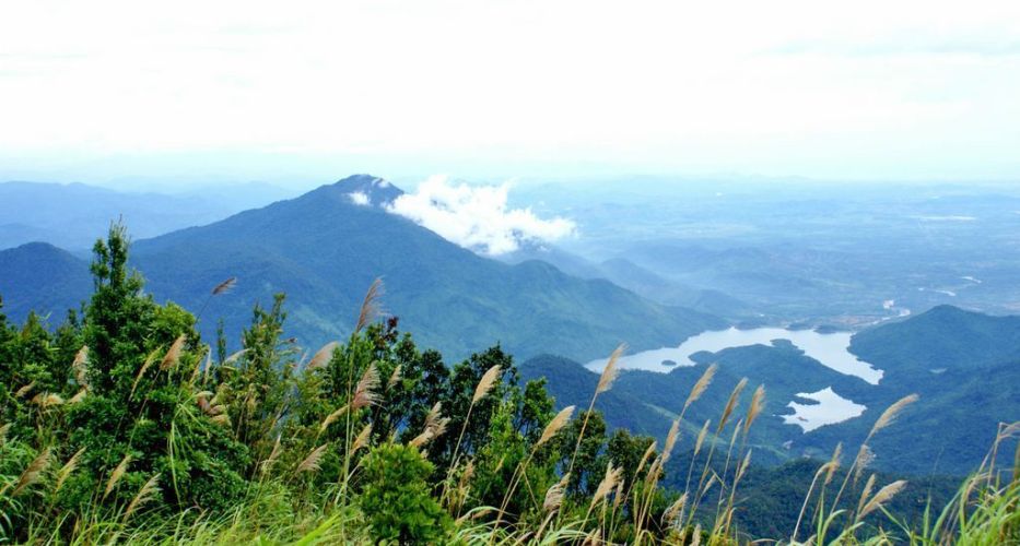 Vong Hai Dai is the highets place in the park