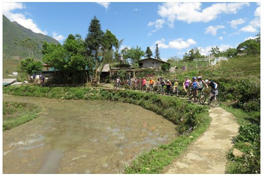 The northern mountain of Vietnam is very proper for trekking and hiking.