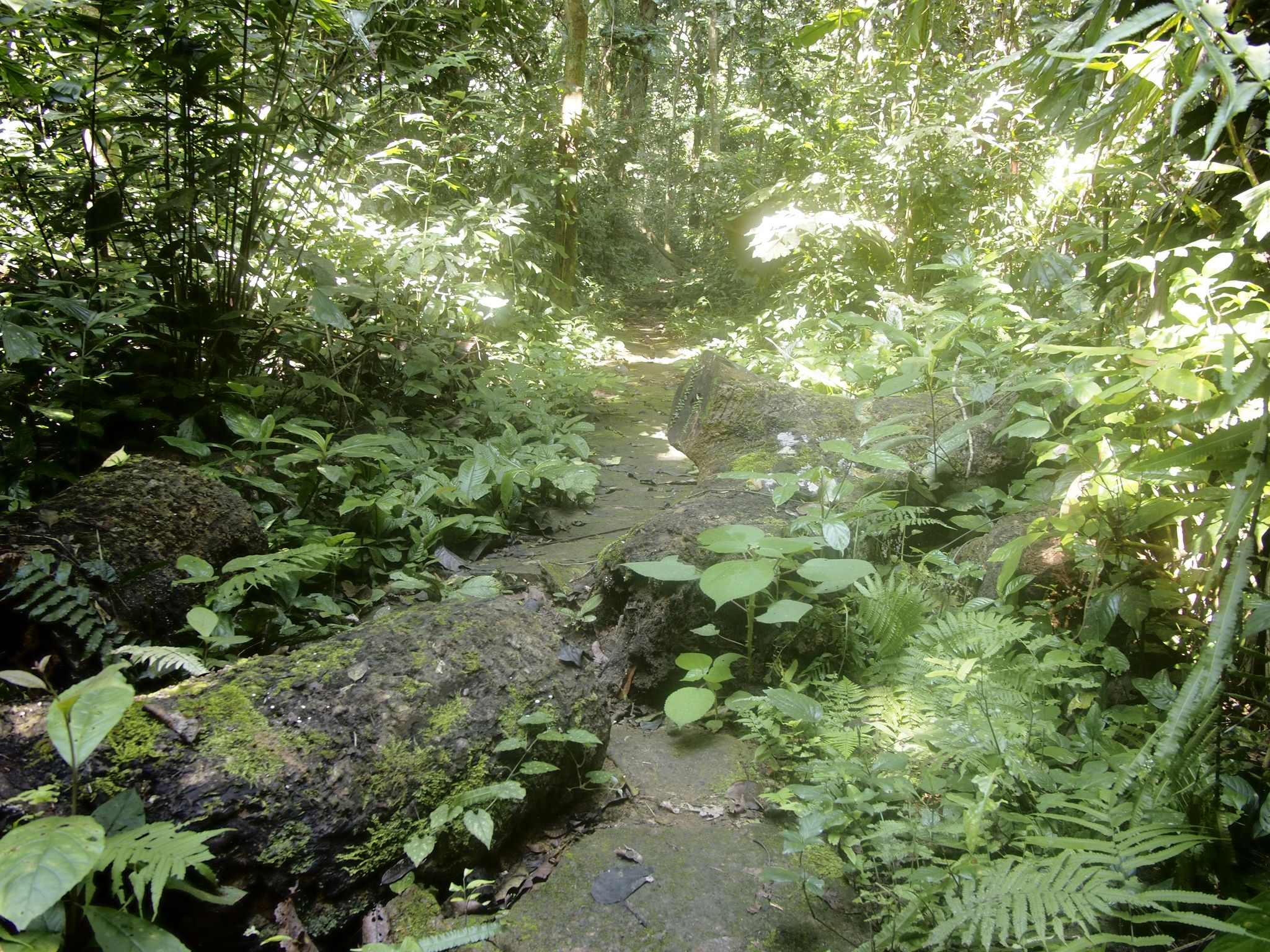 Exploring diversified flora is one of the most exciting activities here