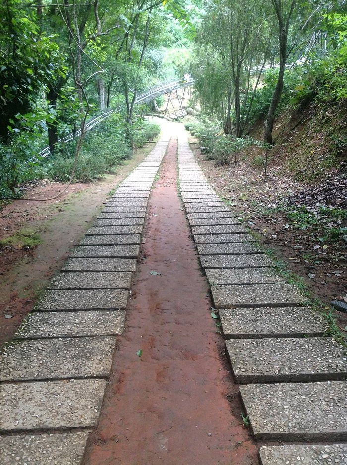 stairs going to Dalanta waterfall