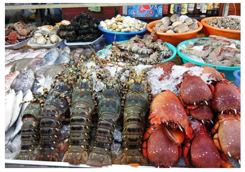 The market full of seafoods in the beach cities as Phan Thiet, Nha Trang.