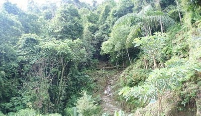 the way up to Thien Mon Cave in Pu Sam Cap 