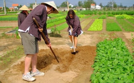 You can experience the daily activity of farmers in Tra Que vegetable village