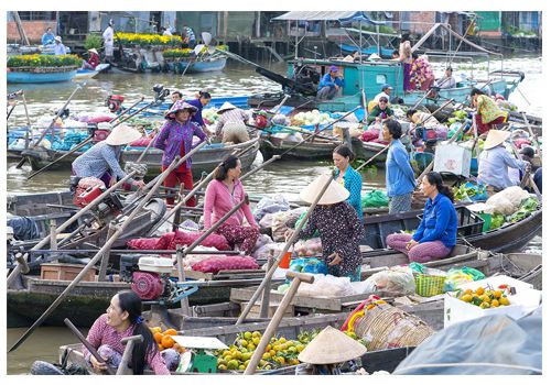 Cai Rang is the most crowded in the early morning.