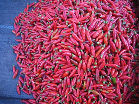 Red-chilies