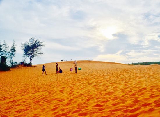A daily imagine of Red Sand Dune.