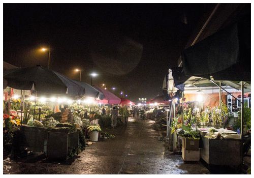 Quang Ba flower market is near to West Lake and hold at the mid-night.