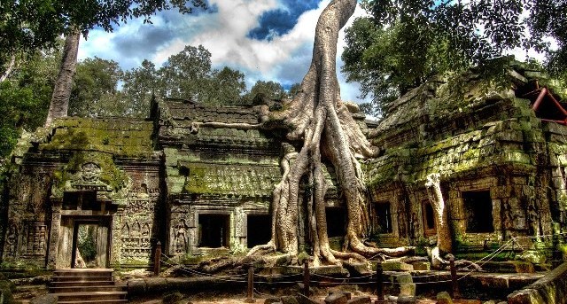 Ta Prohm Temple - the bizarre tree roots